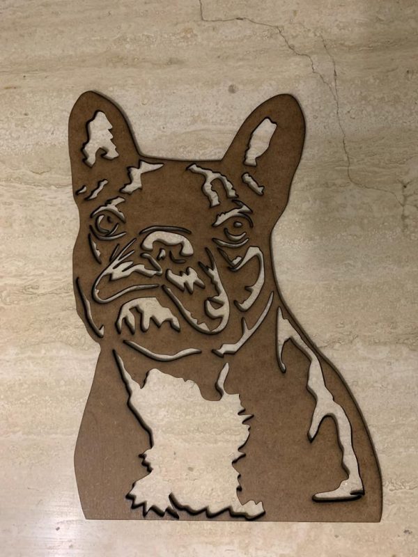 Franse Buldog