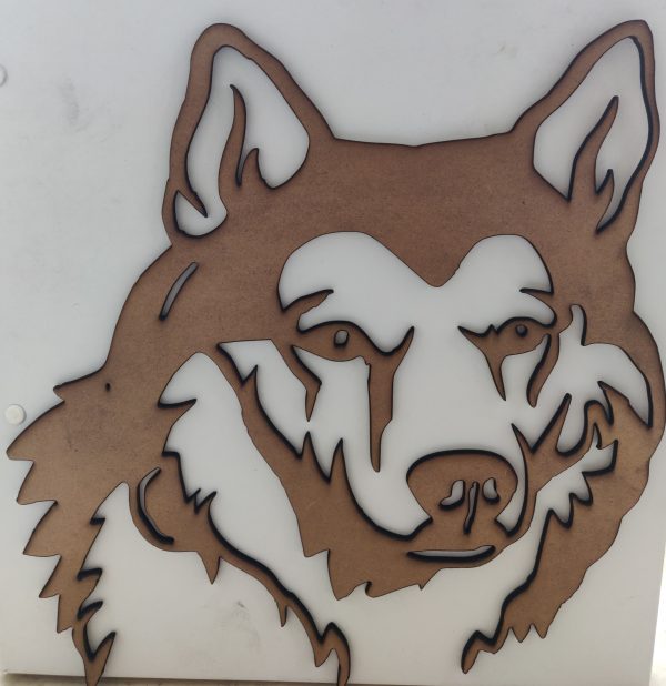 Wolf